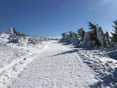 Fewo-Michi im Winter