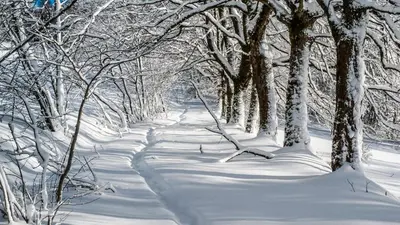 Bellevue Aschberg im Winter