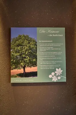 Grundriss der Unterkunft Zedernhof Gesundheits- & Wellnesshotel