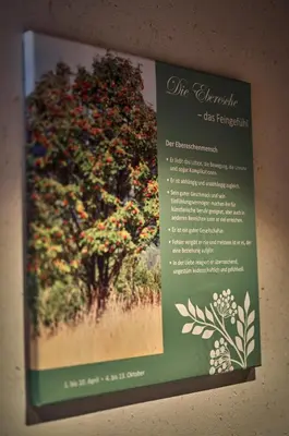 Grundriss der Unterkunft Zedernhof Gesundheits- & Wellnesshotel