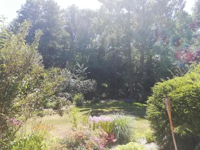 Ein Garten an der Unterkunft Ferienwohnung Jobst - Ruhig mit Blick ins Grüne