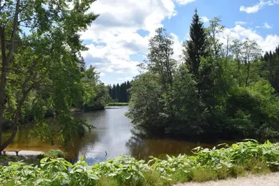 Naturlandschaft in der Nähe des Hotels