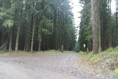 Naturlandschaft in der Nähe der Ferienwohnung
