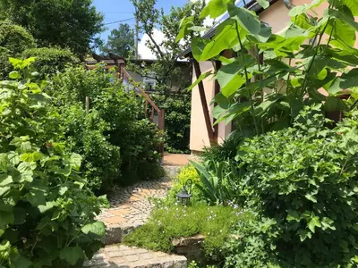 Ein Garten an der Unterkunft Ferienwohnung Baumann