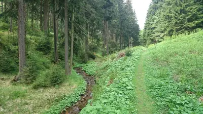 Naturlandschaft in der Nähe der Ferienwohnung