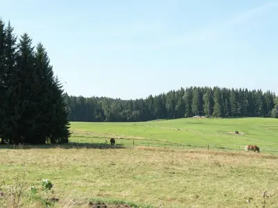 Naturlandschaft in der Nähe des Ferienhauses