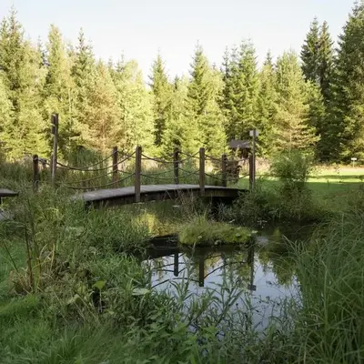 Forest Retreat in Jägersgrün