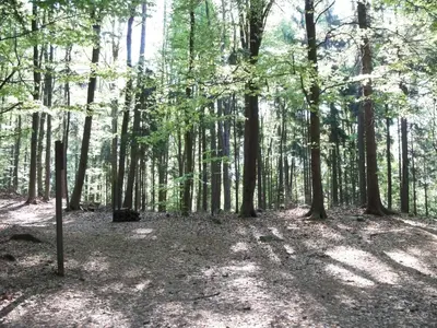 Naturlandschaft in der Nähe des Ferienhauses