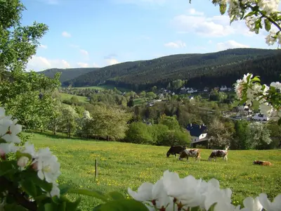 Naturlandschaft in der Nähe der Ferienwohnung
