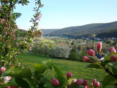 Naturlandschaft in der Nähe der Ferienwohnung