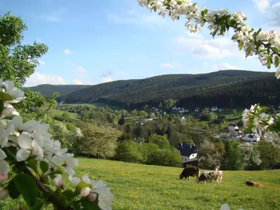 Naturlandschaft in der Nähe der Ferienwohnung