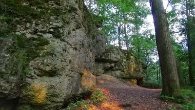 Naturlandschaft in der Nähe des Ferienhauses