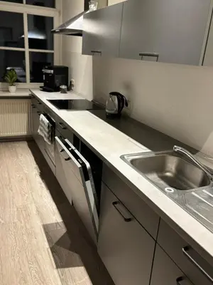 Küche/Küchenzeile in der Unterkunft Exklusive Ferienwohnung im Zentrum von Plauen