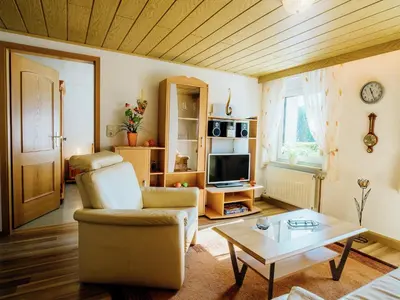 TV/Unterhaltungsangebot in der Unterkunft Ferienhaus in Plankenfels