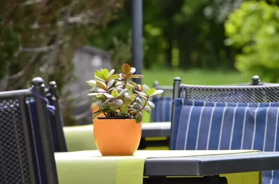 Ein Garten an der Unterkunft Hotel Gasthof Am Forsthof