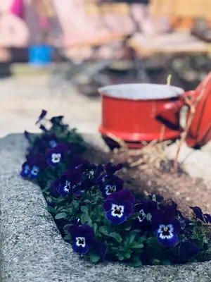 Ein Garten an der Unterkunft Altes Handelshaus Plauen