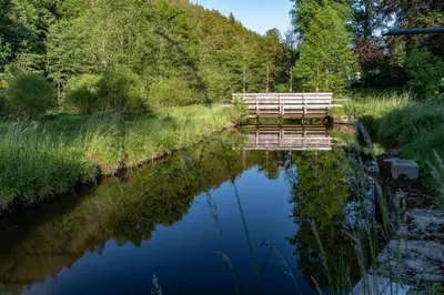 Naturlandschaft in der Nähe der Ferienwohnung