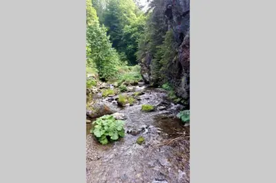 Naturlandschaft in der Nähe des Ferienhauses