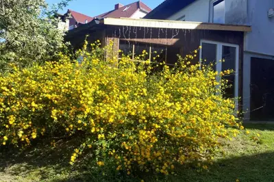 Ein Garten an der Unterkunft Landhaus Haid