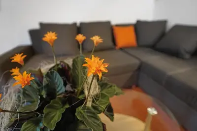 Ein Sitzbereich in der Unterkunft Domizil Aschbergblick