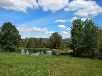 Naturlandschaft in der Nähe der Ferienwohnung