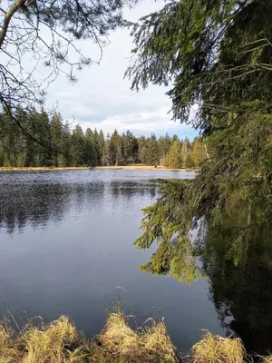 Naturlandschaft in der Nähe der Ferienwohnung