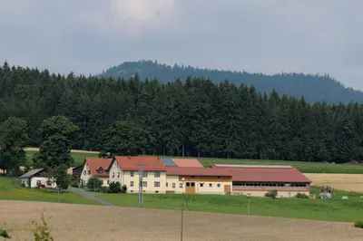 Naturlandschaft in der Nähe der Ferienwohnung