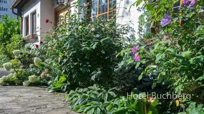 Ein Garten an der Unterkunft Hotel Buchberg
