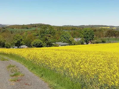 Naturlandschaft in der Nähe des Ferienhauses