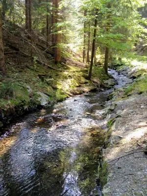 Naturlandschaft in der Nähe der Ferienwohnung