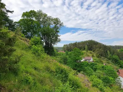 Naturlandschaft in der Nähe der Ferienwohnung