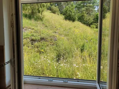 Ein Garten an der Unterkunft Haus Goldfuß