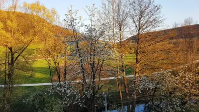 Naturlandschaft in der Nähe der Ferienwohnung