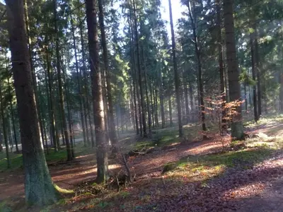 Naturlandschaft in der Nähe des Ferienhauses