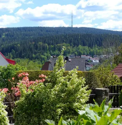 Ein allgemeiner Bergblick oder ein Berglick von der Ferienwohnung aus