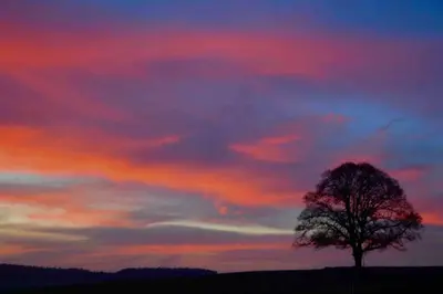 Blick auf den Sonnenuntergang/Sonnenaufgang von des Ferienhauses aus oder aus der Nähe