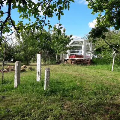 Ein Garten an der Unterkunft Glashaus Sternblick, Schlafen unterm Sternenhimmel