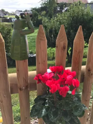 Ein Garten an der Unterkunft Ferienwohnung „Frosch“
