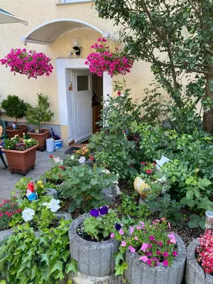 Ein Garten an der Unterkunft Ferienwohnung Goldener Drache