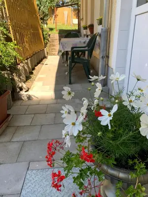 Ein Garten an der Unterkunft Ferienwohnung Goldener Drache