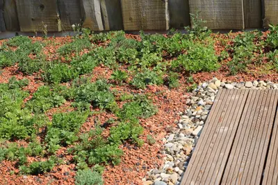 Ein Garten an der Unterkunft Ferienwohnung Bittner