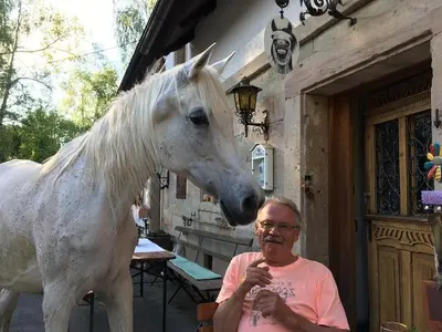 Tiere in der Pension oder in der Nähe
