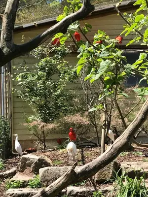 Tiere im Ferienhaus oder in der Nähe