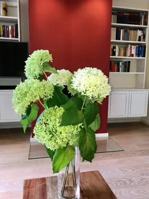 Die Bibliothek im Ferienhaus