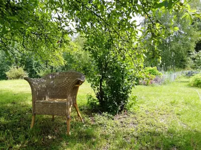 Ein Garten an der Unterkunft Fahrenbach-Alm