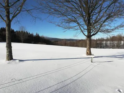 Fahrenbach-Alm im Winter