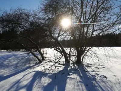 Fahrenbach-Alm im Winter