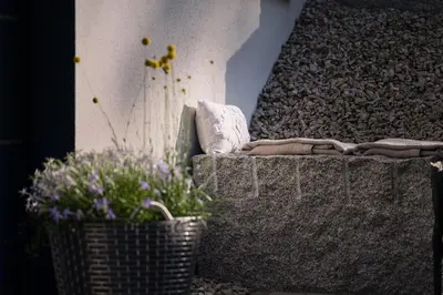 Ein Garten an der Unterkunft BLEIBE VIER Ferienwohnungen