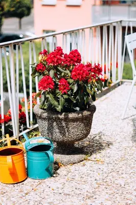 Ein Garten an der Unterkunft Molo Rouge - Boutiquehotel & Café
