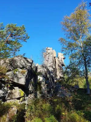 Naturlandschaft in der Nähe der Ferienwohnung